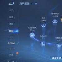 安卓QQ/绝世王者/465皮肤/128英雄/4典藏/0珍品无双/2无双/2珍品传说/49传说/148